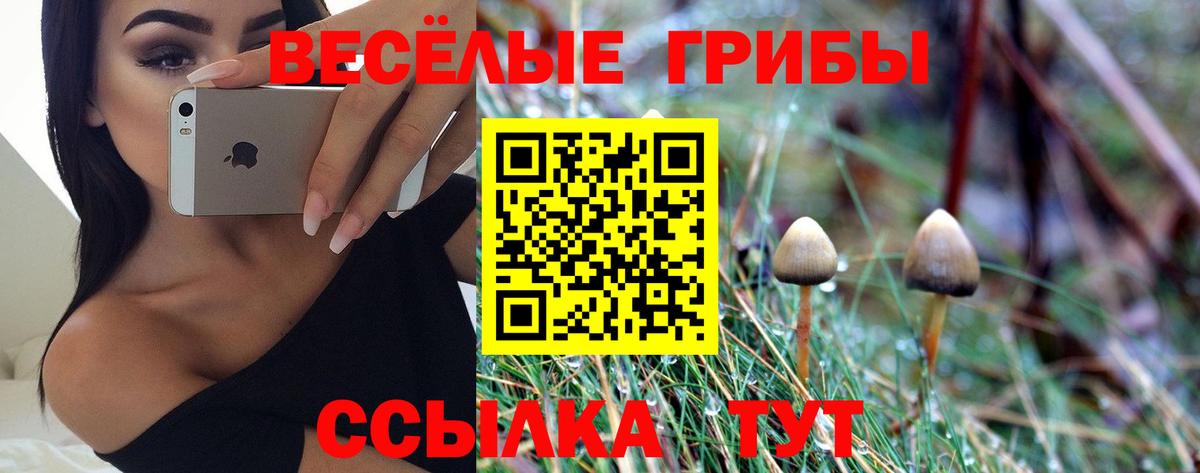 Галлюциногенные грибы ЛСД  Вход с VPN  Псилоцибиновые грибы мухоморы  Можайск 